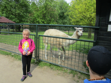img-6666.JPG