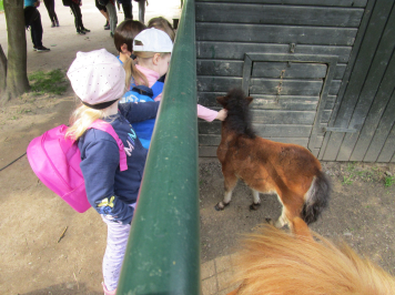 img-6670.JPG
