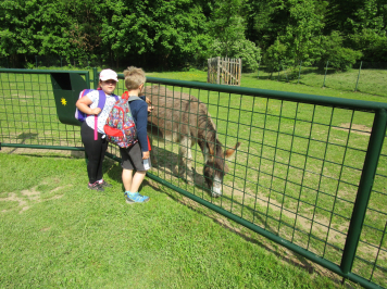 img-6687.JPG