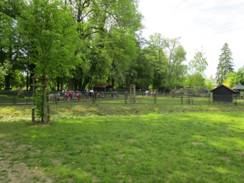 img-6691.JPG