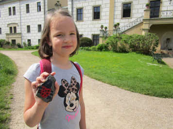 img-6695.JPG