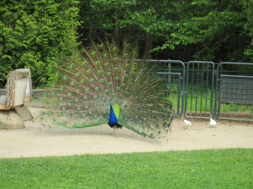 img-6730.JPG