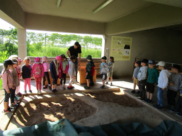 img-3563.JPG