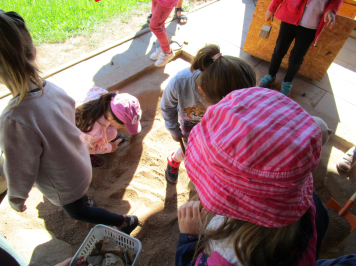 img-3574.JPG