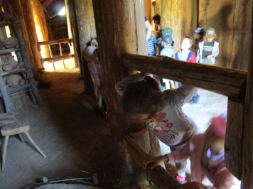 img-3591.JPG
