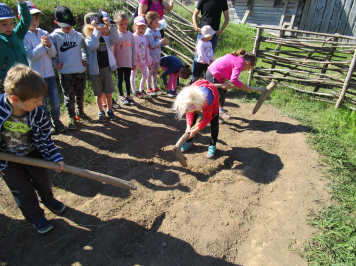 img-3609.JPG