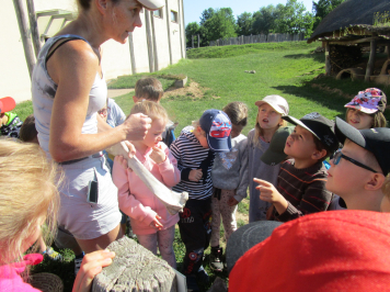 img-1228.JPG
