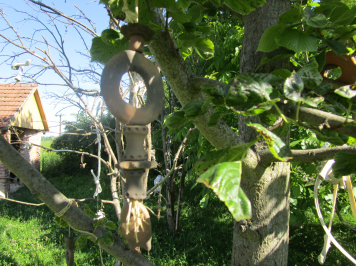img-1248.JPG