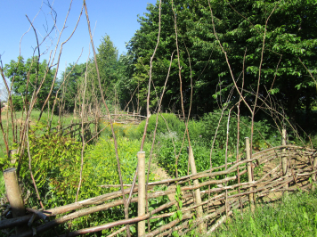 img-1251.JPG