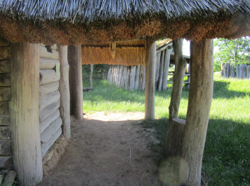 img-1253.JPG