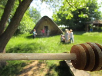 img-1305.JPG