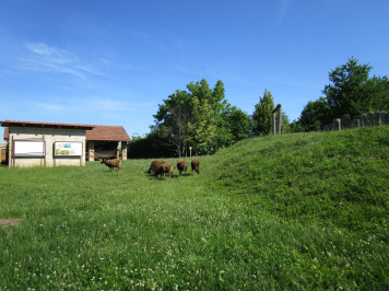 img-1315.JPG