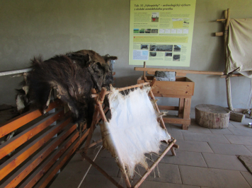 img-1316.JPG