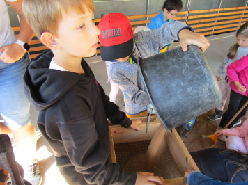 img-1337.JPG