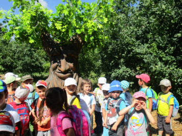 11786.jpg
