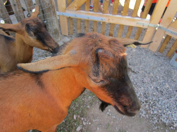 11684.jpg