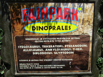 11685.jpg