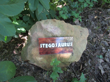 11687.jpg