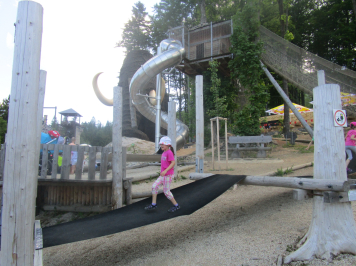 img-1000.JPG
