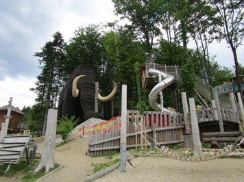 img-1155.JPG