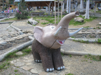img-0256.JPG