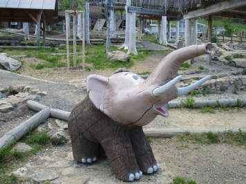 img-0257.JPG