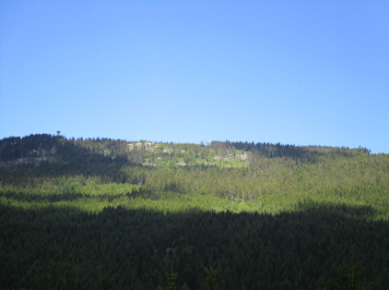 img-0262.JPG