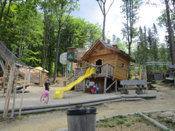 img-0291.JPG