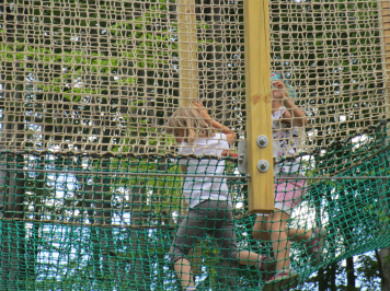 img-0305.JPG