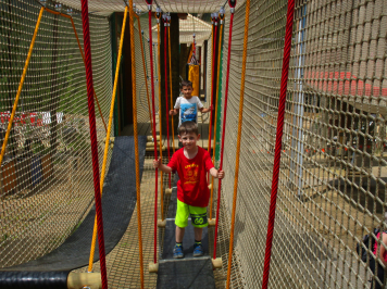 img-0336.JPG