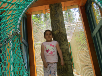 img-0338.JPG