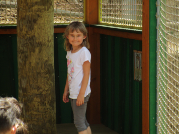 img-0342.JPG