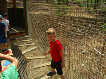 img-0343.JPG