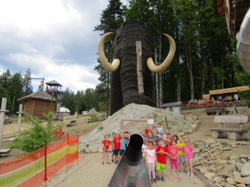 img-0356.JPG