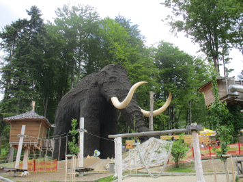 img-0365.JPG