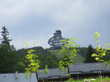 img-0367.JPG