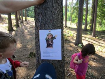 12966.jpg