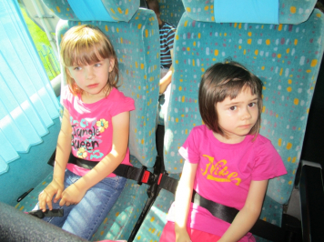 12991.jpg