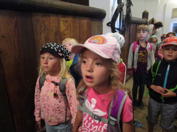 img-6748.JPG