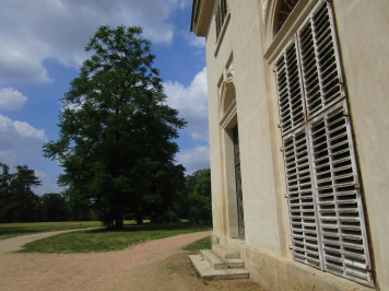 img-6850.JPG