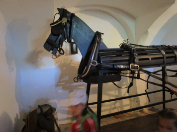 img-3772.JPG
