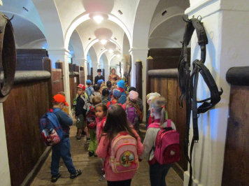 img-3774.JPG