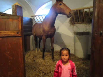 img-3778.JPG