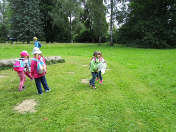 11594.jpg