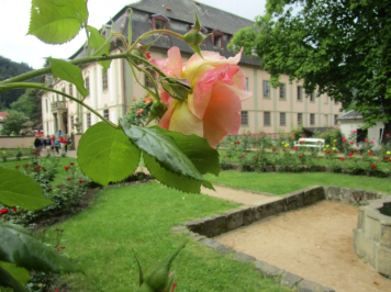 11450.jpg