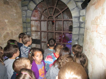 11454.jpg