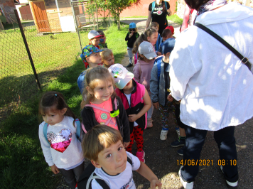 img-2416.JPG