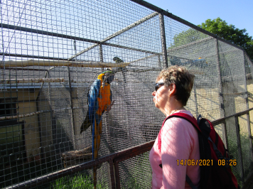 img-2421.JPG