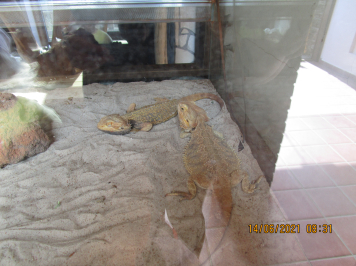img-2422.JPG
