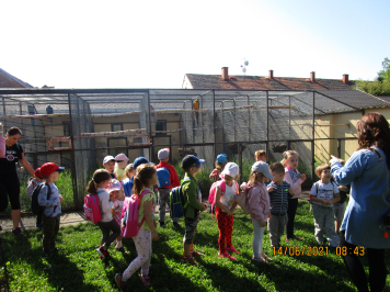 img-2423.JPG